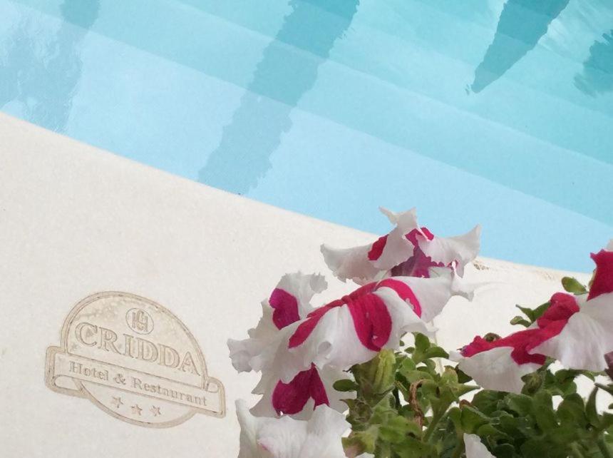 Cridda Hotel & Restaurant غيزيريا المظهر الخارجي الصورة